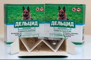 Delcide - za jaki jest potrzebny lek? Delcide - za jaki jest potrzebny lek?